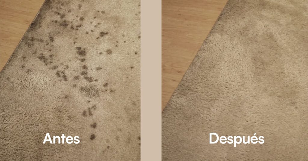 eliminar manchas de grasa y aceite en alfombra